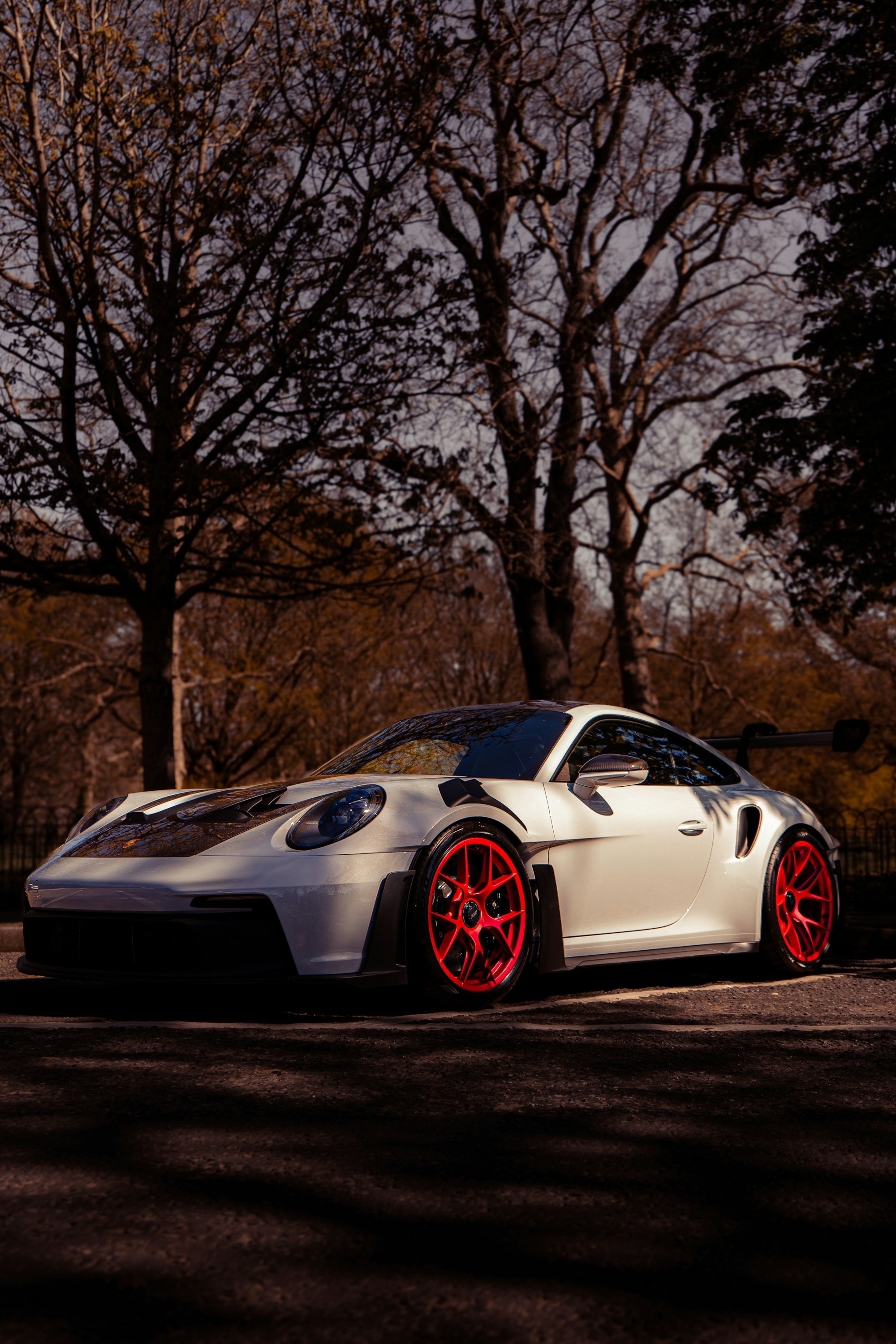 La GT3 RS entière dans le parc